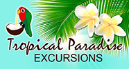Tropical Paradise Excursions
